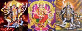 dispute with lover solution baba