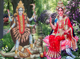 enjoy relationship remedies