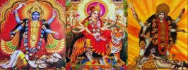 love back puja specialist baba