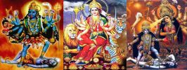 puja expert baba