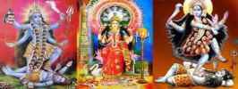 true love guru